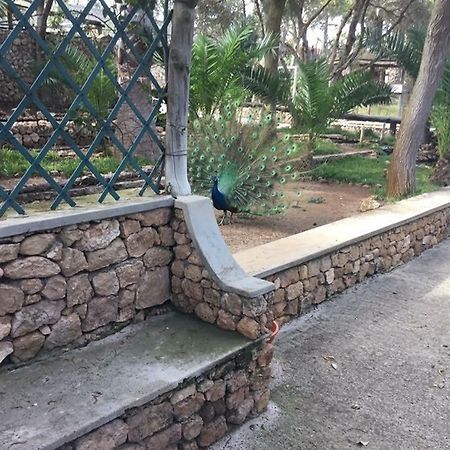 16 Porto Santo Apartments المظهر الخارجي الصورة