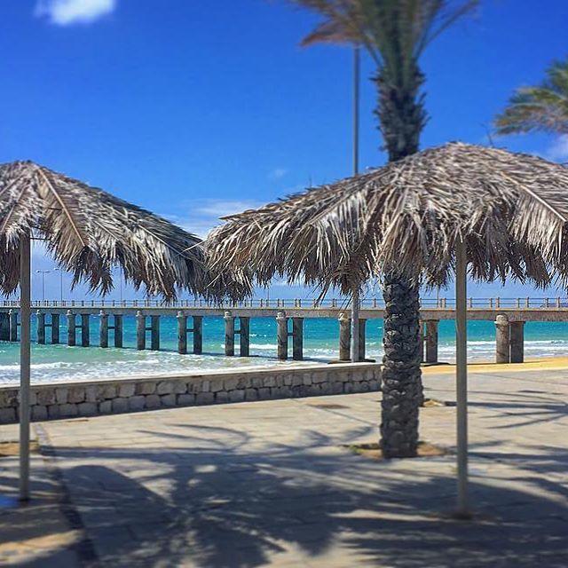 16 Porto Santo Apartments المظهر الخارجي الصورة