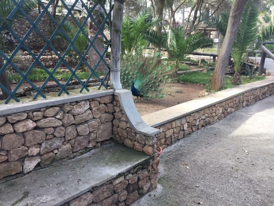 16 Porto Santo Apartments المظهر الخارجي الصورة